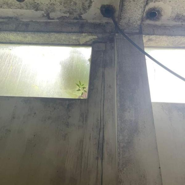 Chất tẩy mốc tường, mốc đá, mốc cao su, mốc silicon, tẩy trắng vải, khử trùng bề mặt HT01