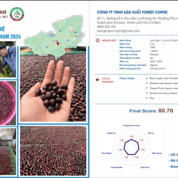 Cà phê đặc sản - Fine Robusta - FOREST COFFEE